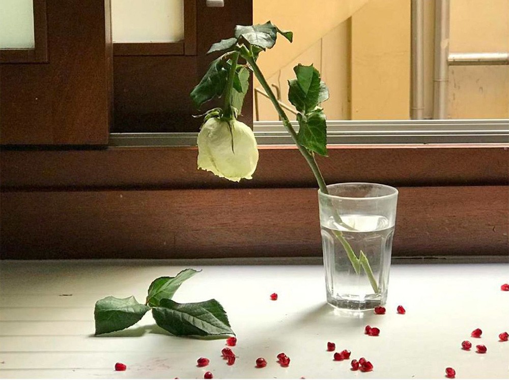 Pedro Almodóvar’s ‘Vida Detenida’